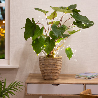 LAMPICE NOVOGODIŠNJE 80CM SILVER/WARM WHITE 486269 