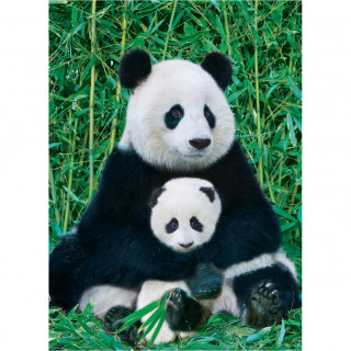 PUZZLE 1000 DELOVA 6000-0173 PANDA & BABY 