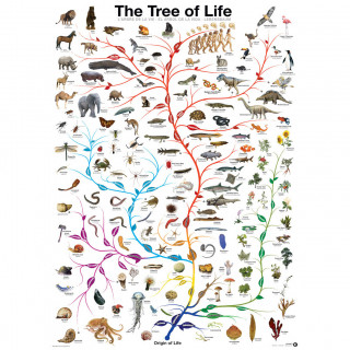 PUZZLE 1000 DELOVA 6000-0282 THE TREE OF LIFE 