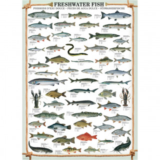 PUZZLE 1000 DELOVA 6000-0312 FRESHWATER FISH 
