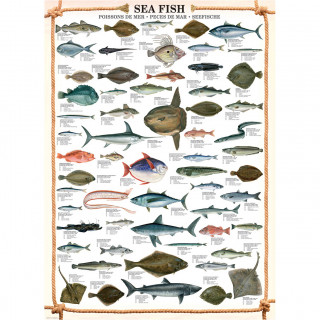 PUZZLE 1000 DELOVA 6000-0313 SEA FISH 