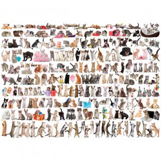 PUZZLE 1000 DELOVA 6000-0580 THE WORLD OF CATS 