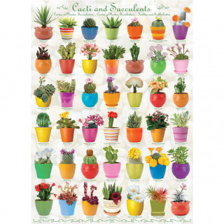 PUZZLE 1000 DELOVA 6000-0654 CACTI & SUCCULENTS 