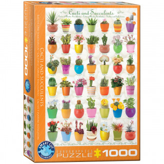 PUZZLE 1000 DELOVA 6000-0654 CACTI & SUCCULENTS 