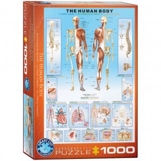 PUZZLE 1000 DELOVA 6000-1000 THE HUMAN BODY 