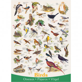 PUZZLE 1000 DELOVA 6000-1259 BIRDS 