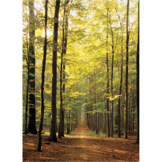 PUZZLE 1000 DELOVA 6000-3846 FOREST PATH 