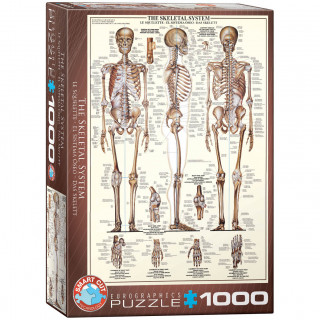 PUZZLE 1000 DELOVA 6000-3970 THE SKELETAL SYSTEM 