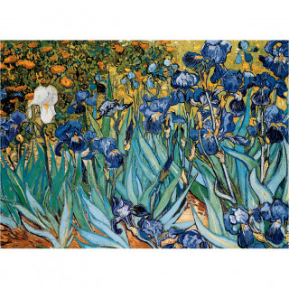 PUZZLE 1000 DELOVA 6000-4364 IRISES BY VINCENT VAN GOGH 