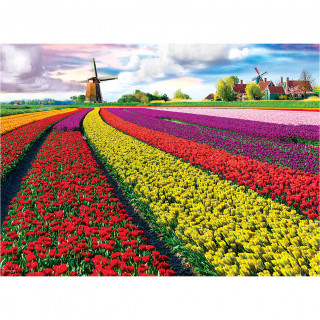 PUZZLE 1000 DELOVA 6000-5326 TULIP FIELDS NETHERLANDS 