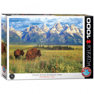 PUZZLE 1000 DELOVA 6000-5474 GRAND TETON NATIONAL PARK 