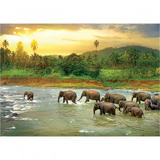 PUZZLE 1000 DELOVA 6000-5540 SAVE THE PLANET ANIMAL KINGDOM 