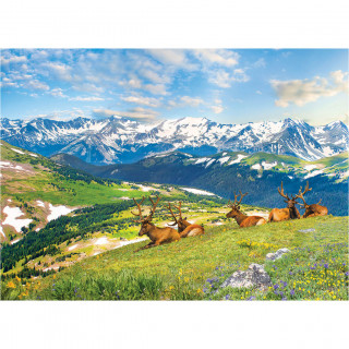 PUZZLE 1000 DELOVA 6000-5705 MOUNTAIN ELKS 