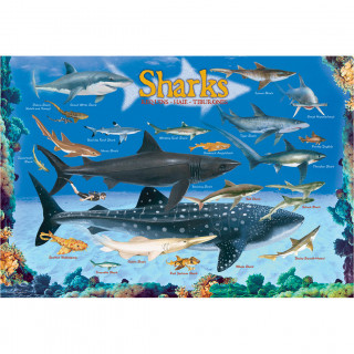 PUZZLE 100 DELOVA  6100-0079 SHARKS 