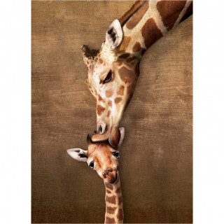 PUZZLE 500 DELOVA  6500-0301 GIRAFFR MOTHER'S KISS 
