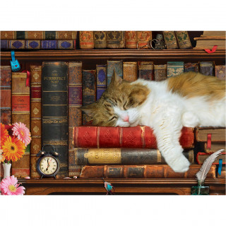 PUZZLE 500 DELOVA  6500-5545 THE CAT NAP 