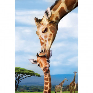 PUZZLE 250 DELOVA 8251-0294 GRAFFES 