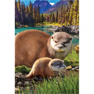 PUZZLE 250 DELOVA 8251-5558 OTTERS 