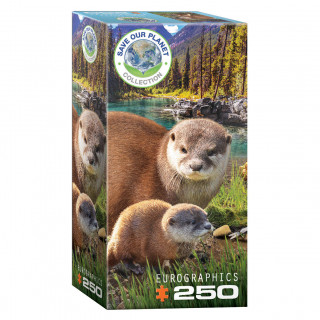 PUZZLE 250 DELOVA 8251-5558 OTTERS 