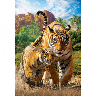 PUZZLE 250 DELOVA 8251-5559 TIGERS 