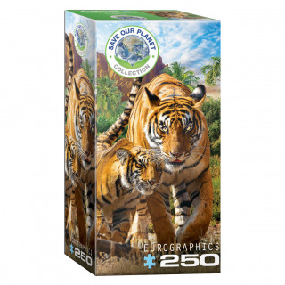PUZZLE 250 DELOVA 8251-5559 TIGERS 