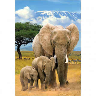 PUZZLE 250 DELOVA 8251-5787 ELEPHANTS 