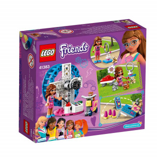 KOCKE LEGO FRIENDS OLIVIAS HAMSTERS  LE41383 