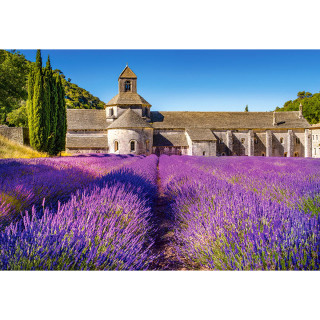 PUZZLE 1000 DELOVA C-104284-2 LAVENDER FIELD IN PROVENCE CASTORLAND 