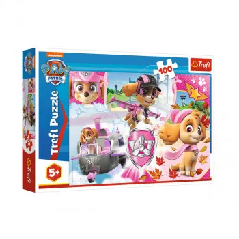 PUZZLE 100 DELOVA SKYE IN ACTION T16368 