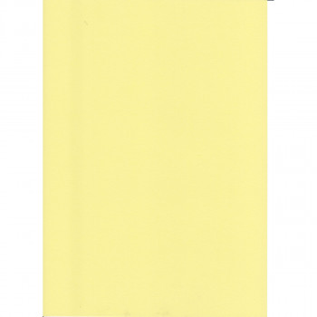 KARTON 70X100CM 220G 10/1 OCTOPUS BEŽ UNL-1998 