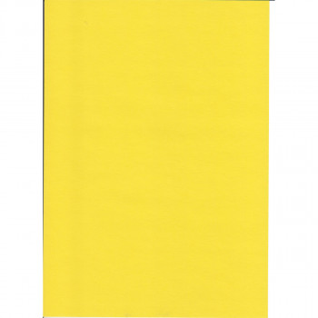 KARTON 70X100CM 220G 10/1 OCTOPUS ŽUTI UNL-2007 