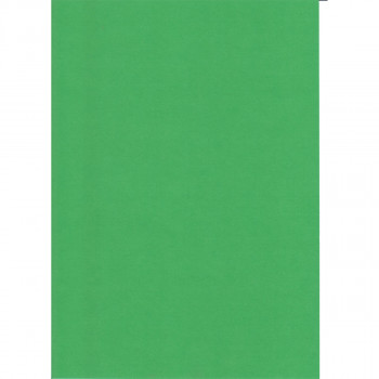 KARTON 70X100CM 220G 10/1 OCTOPUS ZELENA UNL-2014 