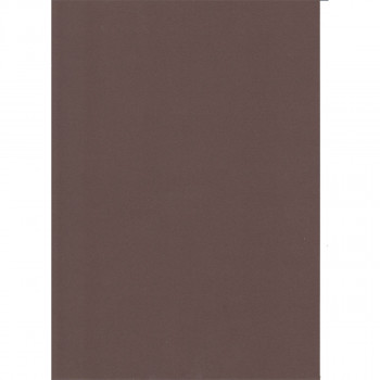 KARTON 70X100CM 220G 10/1 OCTOPUS BRAON UNL-2015 