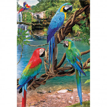 PUZZLE 250 DELOVA 8251-5588 MACAWS 