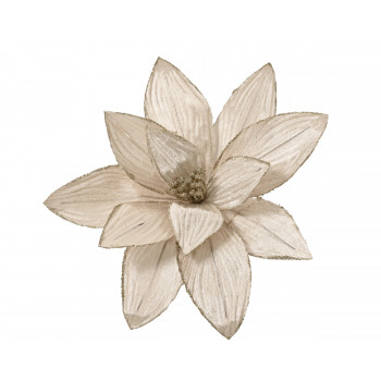 CVET UKRASNI 30X15CM CHAMPAGNE 629751 