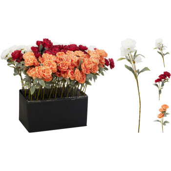 CVET UKRASNI BOŽUR ANM325030 