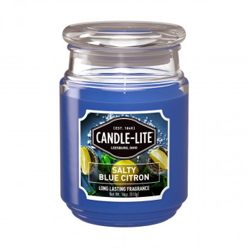 SVEĆA MIRISNA SALTY BLUE CITRON 510g A045111270 