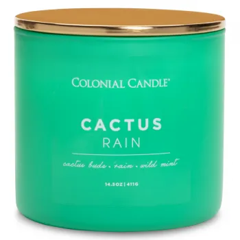 SVEĆA MIRISNA COLONIAL CACTUS RAIN 411g CC123747 