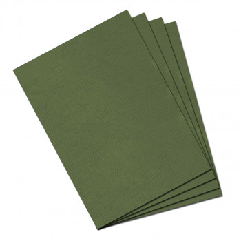 KARTON 50X65cm 160g CANMT ZELENI CANSON 