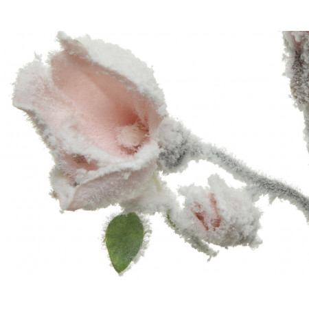 CVET UKRASNI MAGNOLIA 26X12X50CM BLUSH PINK 220212 