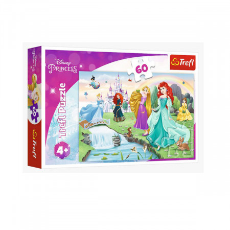 PUZZLE 60 DELOVA  MEET THE PRINCES T17361 