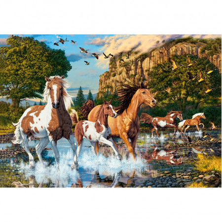 PUZZLE 1000 DELOVA C-104789-2 HORSE WONDERLAND CASTORLAND 