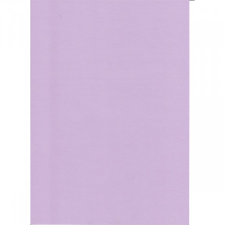 KARTON 70X100CM 220G 10/1 OCTOPUS LAVANDA UNL-2002 