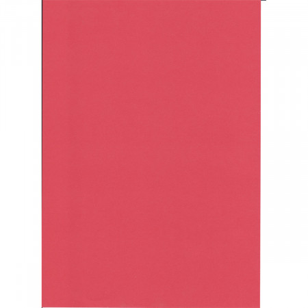 KARTON 70X100CM 220G 10/1 OCTOPUS CRVENI UNL-2004 