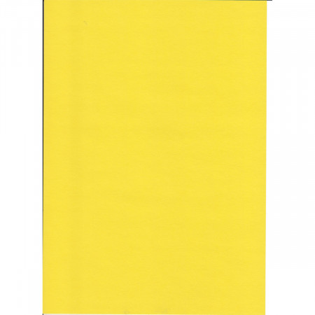 KARTON 70X100CM 220G 10/1 OCTOPUS ŽUTI UNL-2007 
