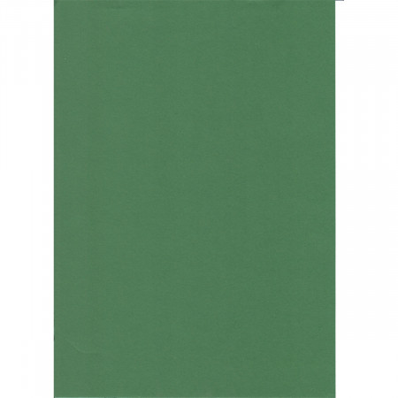 KARTON 70X100CM 220G 10/1 OCTOPUS ZELENA TAMNO UNL-2013 