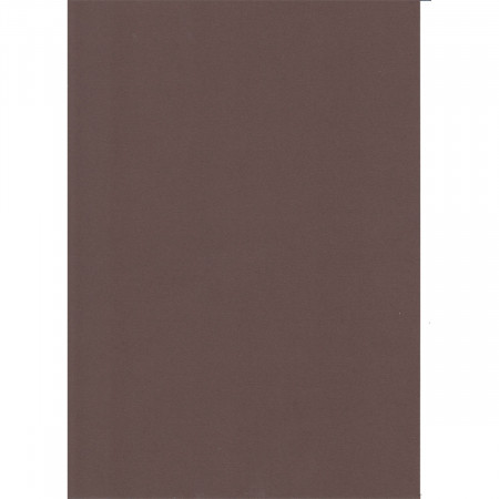 KARTON 70X100CM 220G 10/1 OCTOPUS BRAON UNL-2015 