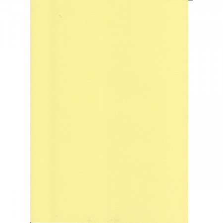 KARTON 70X100CM 220G OCTOPUS BEŽ UNL-1998 