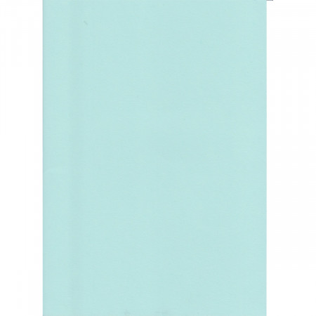 KARTON 70X100CM 220G OCTOPUS PLAVI SVETLO UNL-2001 
