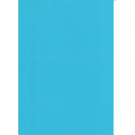 KARTON 70X100CM 220G OCTOPUS PLAVI LAKE UNL-2008 